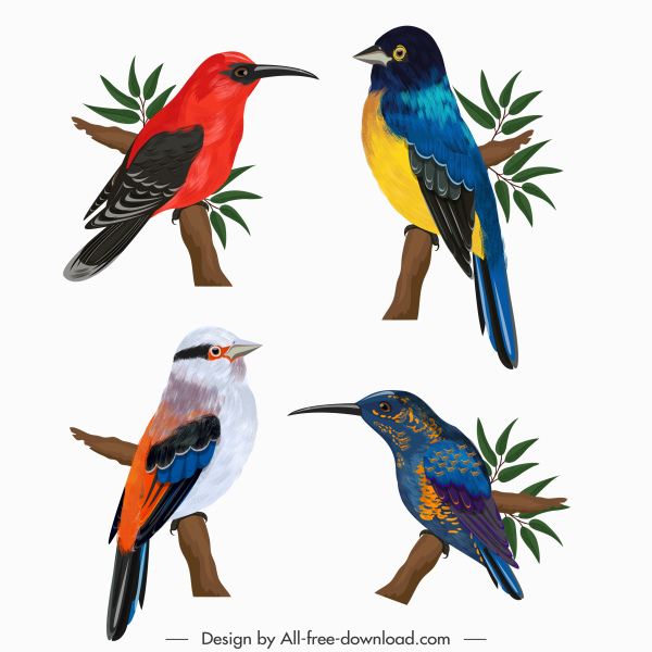 自然鸟图标五颜六色的设计栖息手势素描