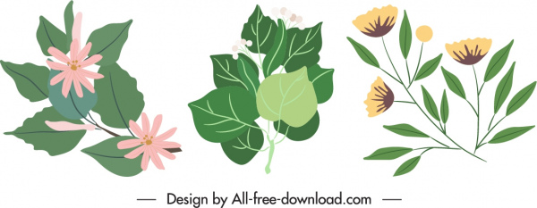elementos naturales iconos clásico hojas florales boceto
