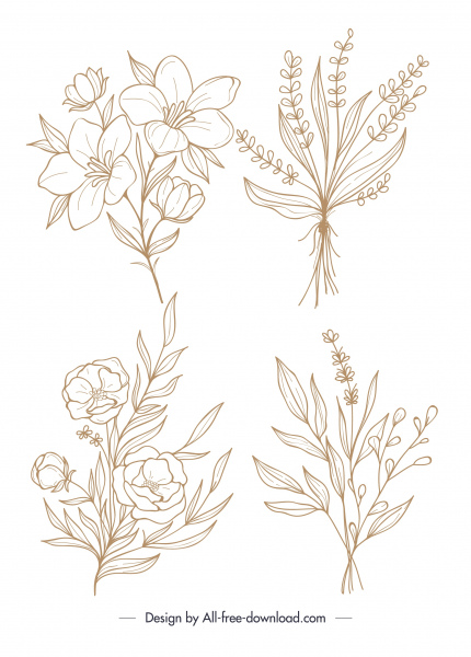 ícones de flores naturais desenhados à mão design clássico