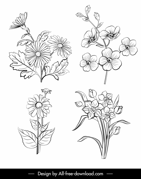 flores naturales iconos blanco negro dibujado a mano esquema