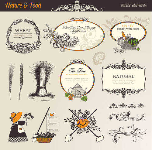 rótulos de alimentos naturais e o vetor de ornamento
