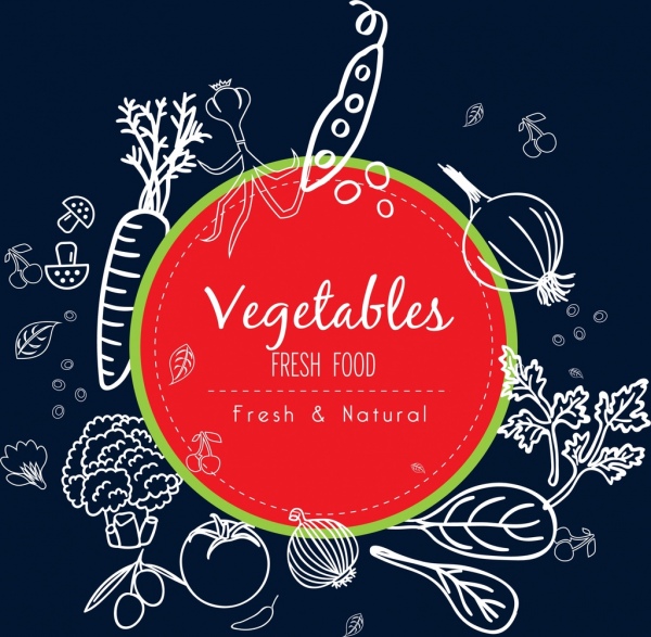 promotion d'aliments naturels sketch de légumes handdrawn information icônes