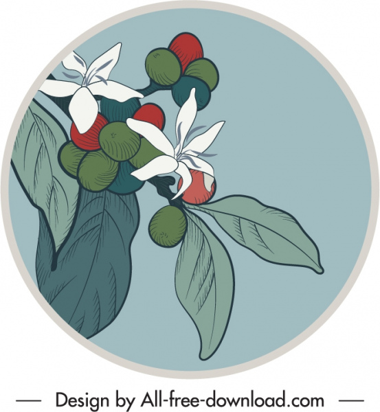 natürliche Früchte Label Vorlage retro Design handgezeichnete Skizze