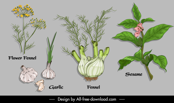 ingredientes de ervas naturais ícones coloridos design desenhado à mão