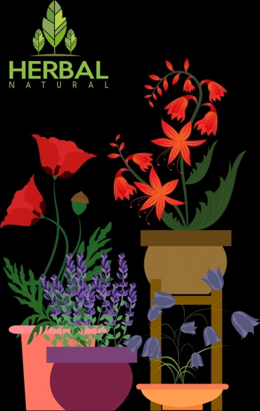 天然草藥背景彩色花朵圖標深色設計