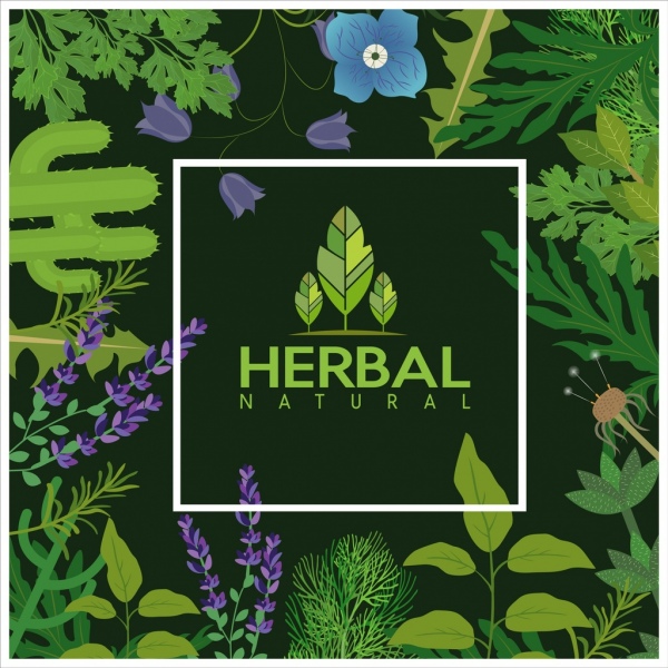 herbal alami latar belakang hijau daun bunga ikon dekorasi