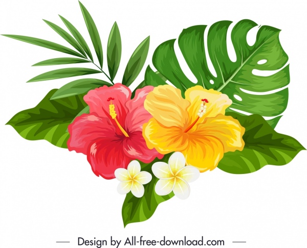 천연 히비스커스 plumeria 꽃 아이콘 여러 가지 빛깔의 스케치