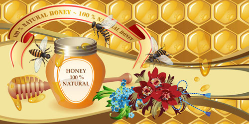 천연 벌 꿀 크리에이 티브 포스터 vecor