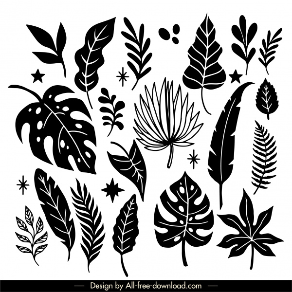 ícones de folha natural preto branco desenhado com mão esboço clássico