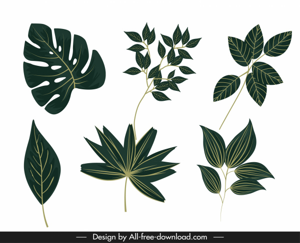 iconos de hojas naturales decoración clásica verde