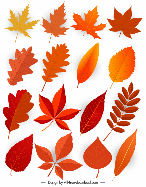 iconos de hojas naturales diseño moderno