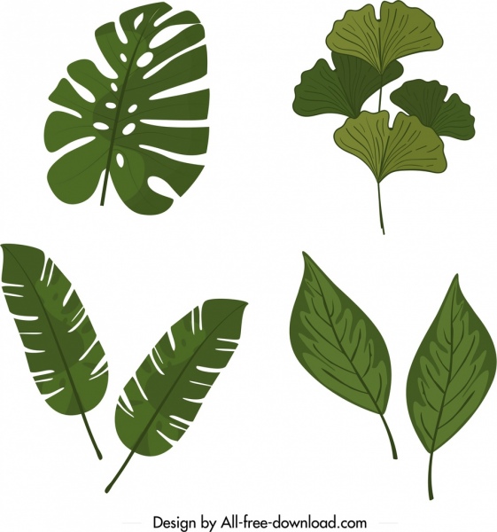 天然樹葉圖示範本古典綠色形狀