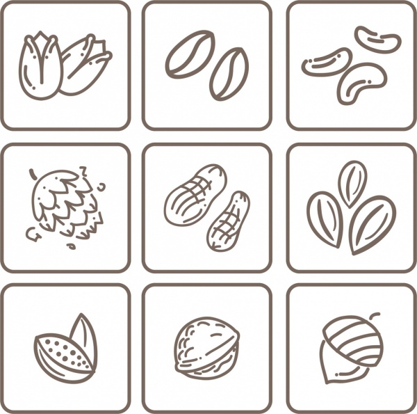天然坚果图标收集平面单色素描