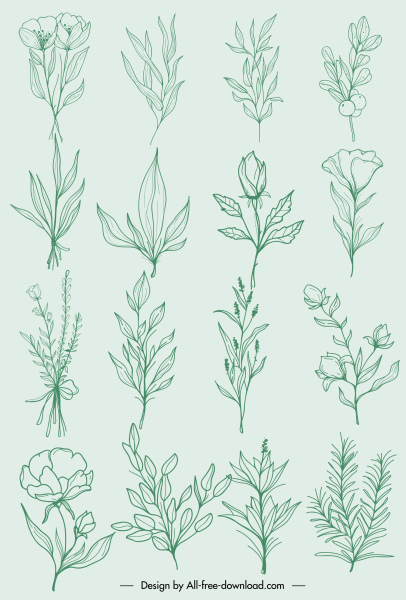 plantas naturales iconos clásicos dibujados a mano botánica hoja boceto