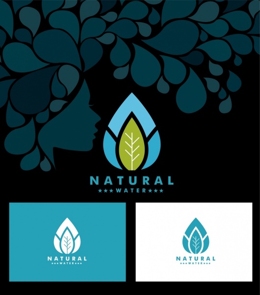 ícone de água natural define ornamento de ícone de folha