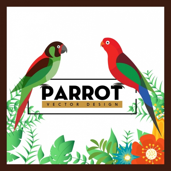 bunte Papageien Natur Blumen Hintergrunddekoration