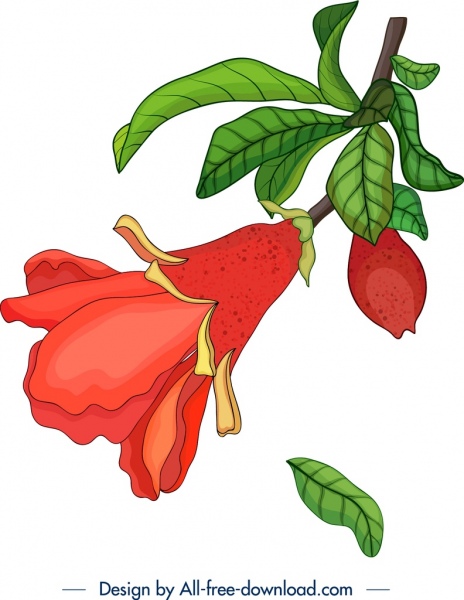 naturhintergrund granatapfelblüte frucht symbole dekor