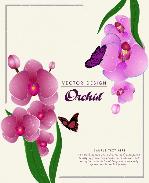 ornamento de flores de orquídeas natureza fundo roxo