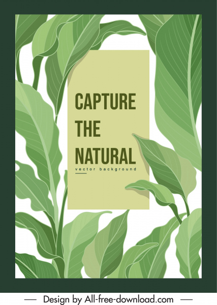 template latar belakang alam dekorasi daun hijau cerah