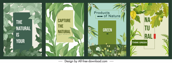 template latar belakang alam sketsa daun hijau klasik