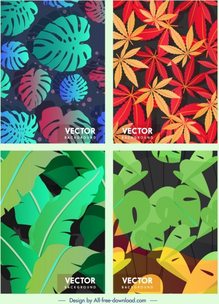 自然背景範本五顏六色的葉子裝飾