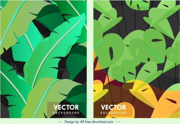 decori di foglie di natura sfondo modelli colori mix