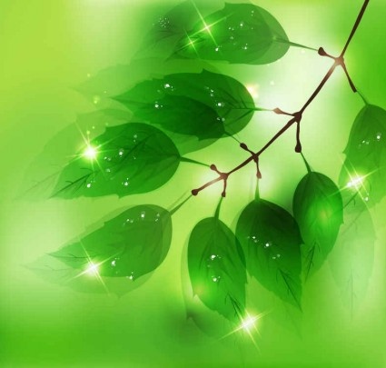 신선한 녹색 자연 배경 벡터 나뭇잎