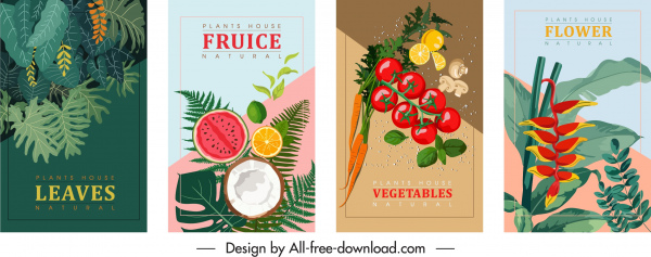 modelos de banners da natureza colorido clássico flora de frutas design