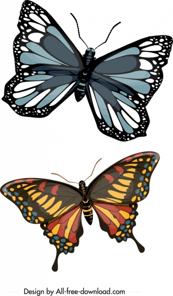 Thiên nhiên bướm biểu tượng tối đầy màu sắc thiết kế hiện đại