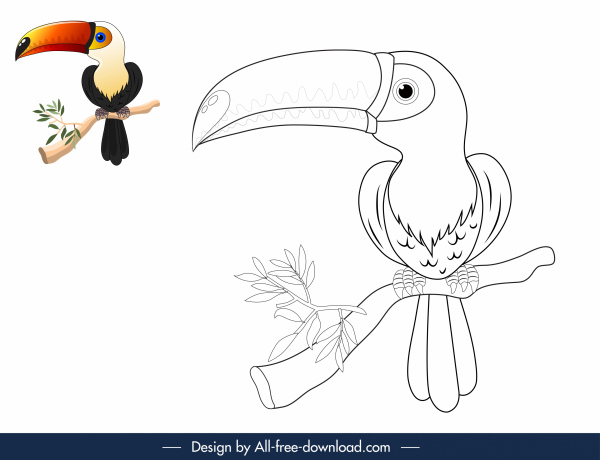 ธรรมชาติระบายสีองค์ประกอบหนังสือ toucan ร่าง