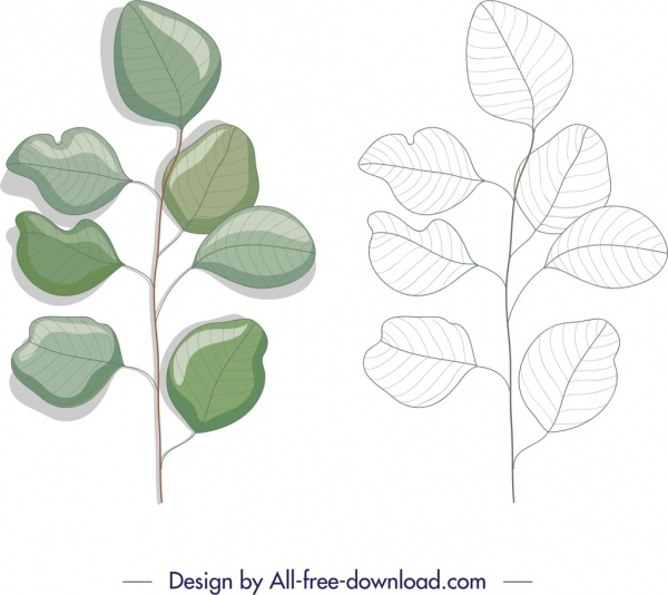 elemen desain alam sketsa daun hijau