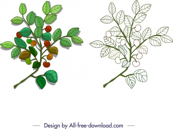 elemen desain alam sketsa cabang daun buah