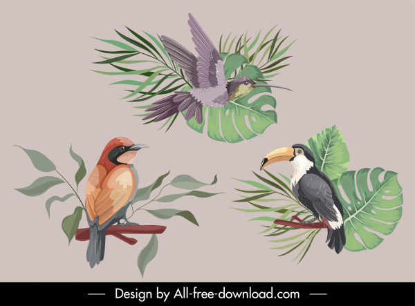 elemen desain alam makhluk burung sketsa handdrawn klasik
