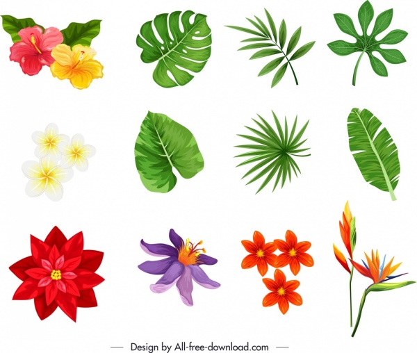 自然デザイン要素カラフルな花びらの葉のスケッチ