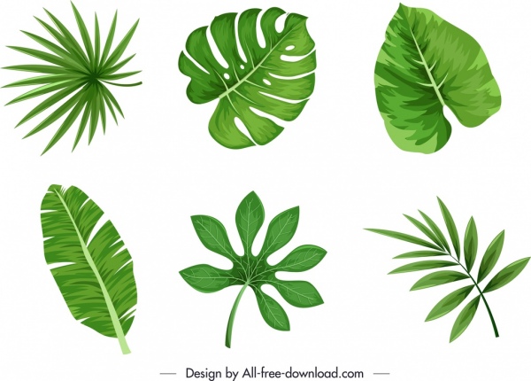 elemen desain alam sketsa bentuk daun hijau datar