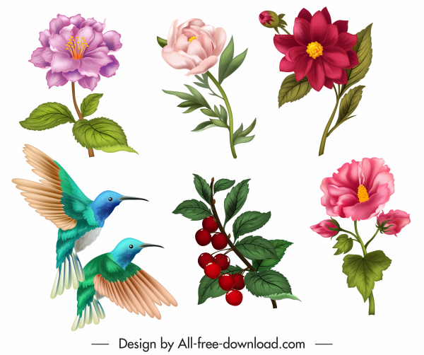 naturaleza elementos de diseño flora aves iconos boceto