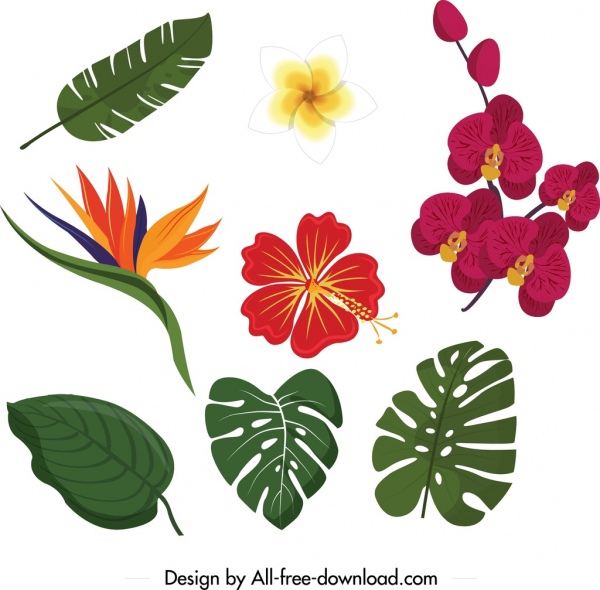 elementi di design natura floreale foglie icone design colorato