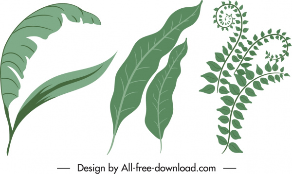 elementos de diseño de la naturaleza boceto de hoja verde