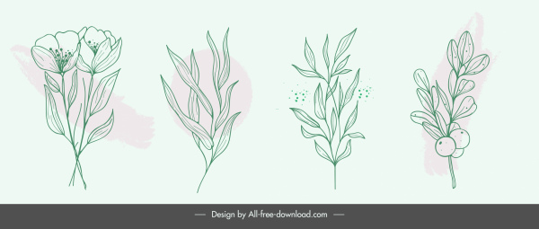 elemen desain alam sketsa daun bunga handdrawn