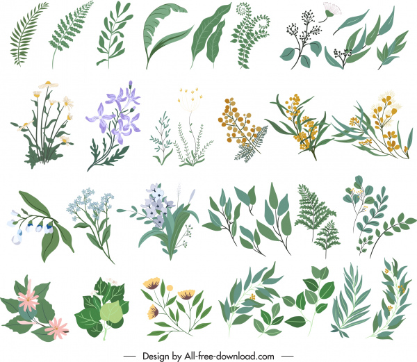 elementos de design da natureza folha botany esboço clássico desenhado à mão