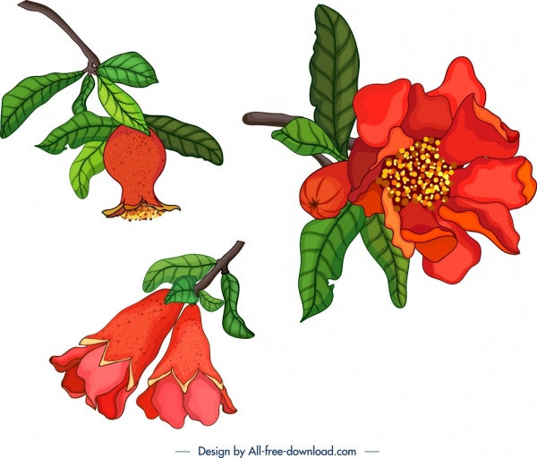 自然のデザイン要素ザクロのテーマフルーツの花のアイコン