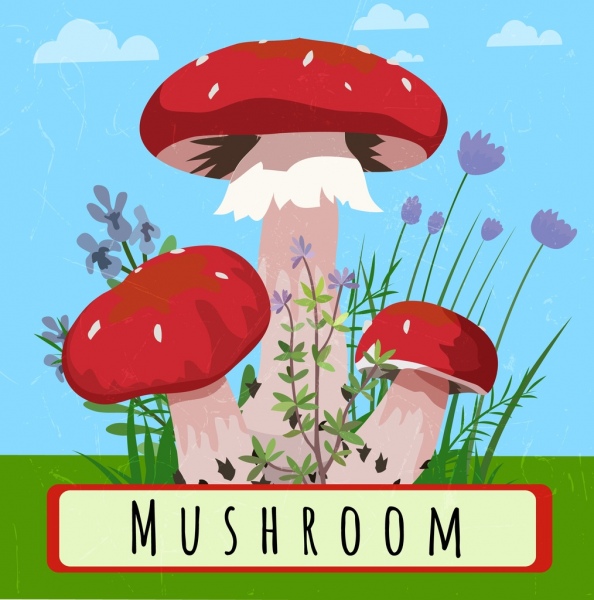天然畫蘑菇圖標多色設計