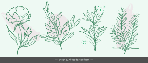 elementos de la naturaleza iconos dibujados a mano botánica hojas bosquejo