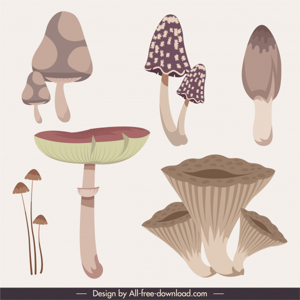 elementos da natureza ícones cogumelos formas esboço design clássico