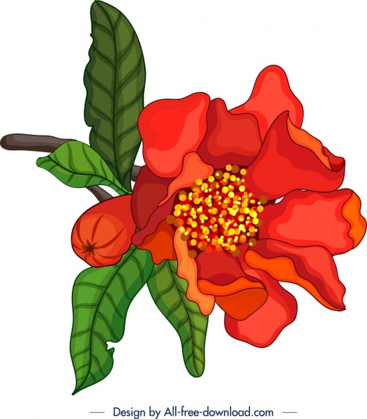 ícone da flor da romã vermelha da pintura da natureza