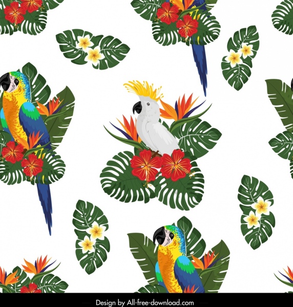 自然图案五颜六色的植物区鹦鹉树叶装饰