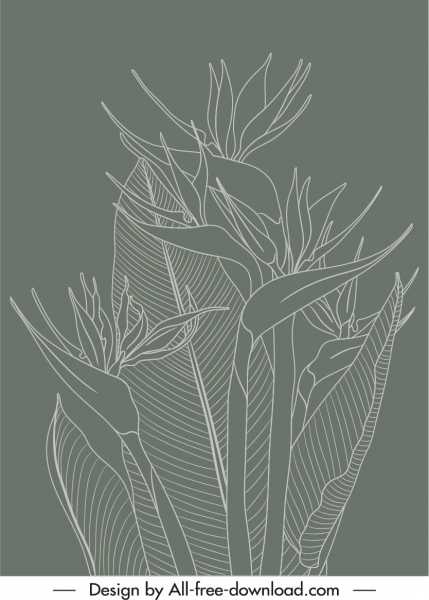 自然植物はレトロな手描きのモノクロデザインを描く