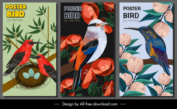 自然のポスターテンプレートカラフルな古典的な鳥の植物のデザイン
