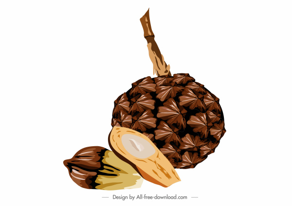 ícone de fruta Nipa colorido fatiado esboço de projeto clássico