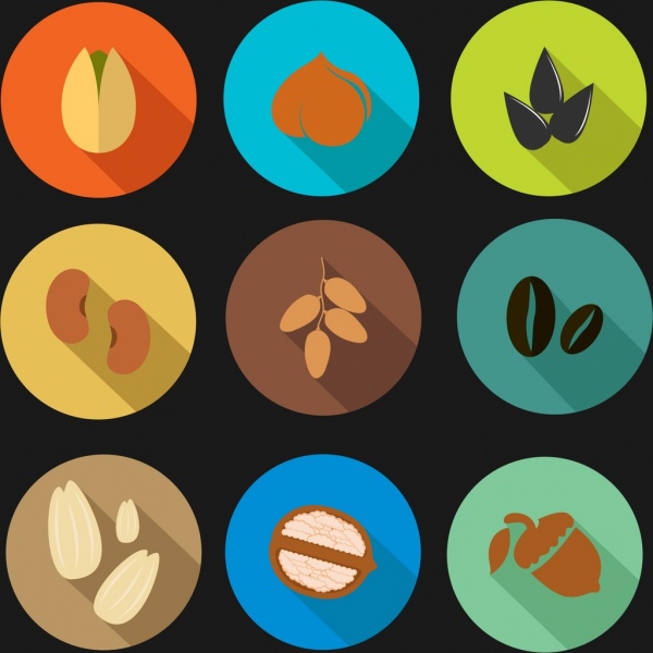 collezione di icone di fagiolo Nut che varie colorate tipi di isolamento